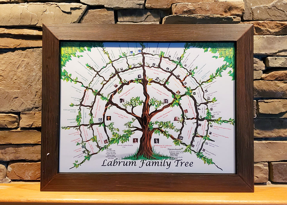 Large Family Tree Wall Chart